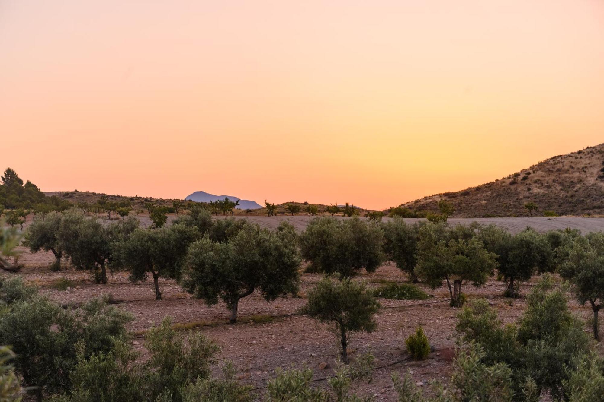 Complejo Rural Sol De Taberno Guest House Exterior photo
